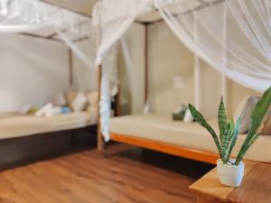 Φωτογραφία από το άλμπουμ του The Jungle View Garden σε Mirissa +21 φωτογραφίες