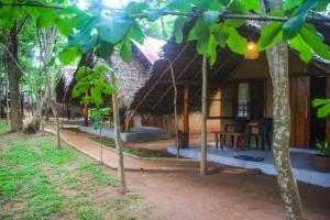 Garden sa labas ng Jungle Host Hostel And Tree House