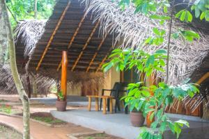 Garden sa labas ng Jungle Host Hostel And Tree House