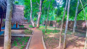 Garden sa labas ng Jungle Host Hostel And Tree House