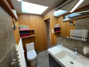 a bathroom with a toilet and a sink and a mirror at Pechhof in Innsbruck +29 photos