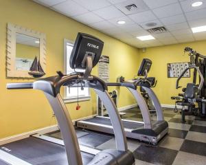 Fitness centrum a/nebo fitness zařízení v ubytování Bluegreen Vacations Harbour Lights