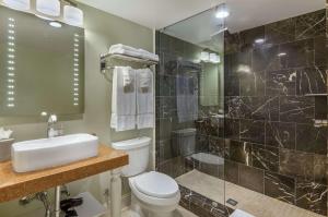 a bathroom with a toilet and a shower at The Gin Hotel, an Ascend Collection Hotel in Lexington +28 photos