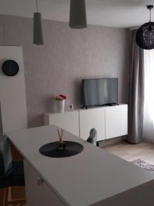 TV a/nebo společenská místnost v ubytování Apartmány Stříbro