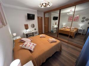 a bedroom with a large bed and a mirror at Rooms Pontones in Madrid