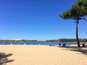 una spiaggia con un albero e persone sulla spiaggia di appartement soustons plage a Soustons