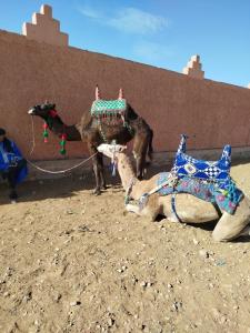 入住Maison etoile du desert的客人