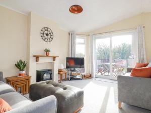 a living room with a couch and a tv and a fireplace at Laurel Lodge in Tintagel