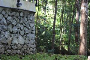Um jardim no exterior de Trickling Stream Campsite