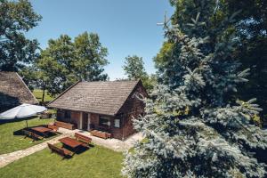 Κήπος έξω από το Kogutowo Agroturystyka MPR