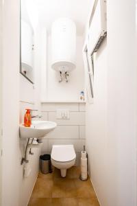 Un baño pequeño con inodoro y lavabo. en Appartamento Tanja Trieste, en Trieste 12 fotos más