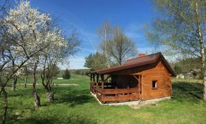Afbeelding uit fotogalerij van Leśne Zacisze in Augustów