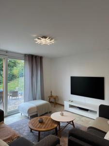 韦尔苏瓦Superbe maison avec vue imprenable sur le lac的配有平板电视和沙发的客厅