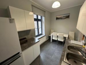 Kuchyň nebo kuchyňský kout v ubytování Apartament Kleopatra