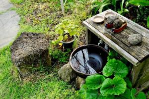 a wooden table with plants and a bowl on it at Executive Home in Jeju in Jeju +73 photos