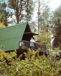 Zahrada ubytování Cardinal Glamping