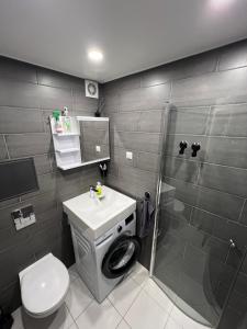 a bathroom with a toilet and a sink and a shower at Valmiera City Centre Apartment in Valmiera