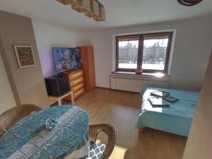TV a/nebo společenská místnost v ubytování Pokój Zieleń i Przestrzeń + 8 fotografií
