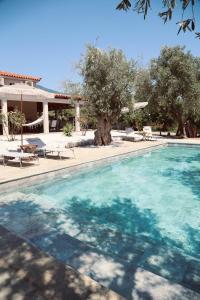 Fotografie z fotogalerie ubytování Iriti's Villa v destinaci Platanidia