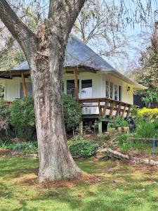 a house with a tree in front of it at Balcón del Lago - Cabaña 1 in Maipo
