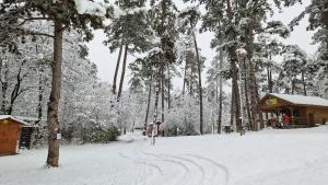 a snow covered forest with a cabin and trees at Zöld Relax Apartments in Budakeszi