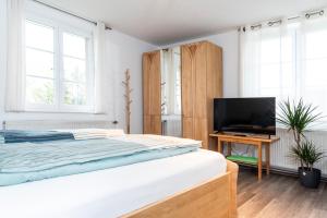 Televiisor ja/või meelelahutuskeskus majutusasutuses Ferienwohnung am Labyrinth