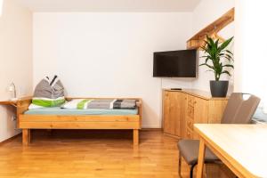 Televiisor ja/või meelelahutuskeskus majutusasutuses Ferienwohnung am Labyrinth