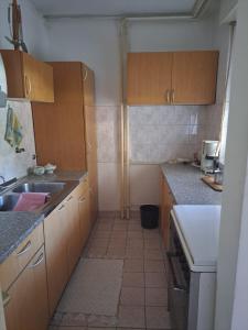 a small kitchen with wooden cabinets and a sink at Apartman Kosa in Bežanija