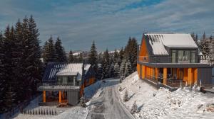 布克维SKOGUR - Home & Resort的白雪皑皑的山坡上,两栋房子掩映在树木之中。