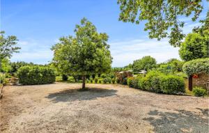 A garden outside Ciliegio