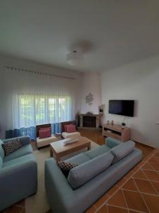a living room with blue couches and a flat screen tv at Cantinho da Carminho in Amoreira