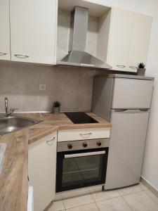 Kuchyň nebo kuchyňský kout v ubytování KELLY APARTMENTS + 30 fotografií