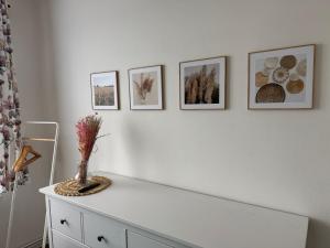 Fotografie z fotogalerie ubytování Apartmán Vráž u Písku v Písku