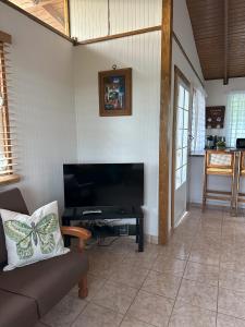 a living room with a couch and a flat screen tv at La Casita Amarilla en Utuado, Puerto Rico in Utuado