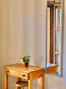 a table with a potted plant on it next to a mirror at Marinos Studios and Apartments in Gialiskari