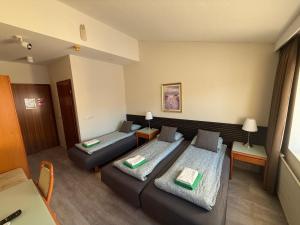 Posezení v ubytování Frost Guesthouse