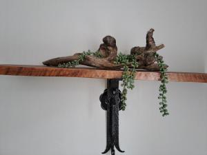Fotografie z fotogalerie ubytování Rustic Farm Stay v destinaci Lydenburg