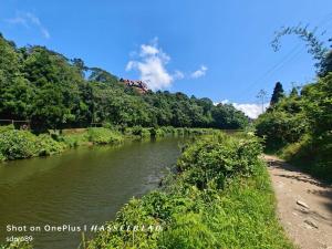 MirikにあるSadnas Homestay Mirikの木の川 +6枚の写真