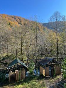 two wooden huts in the middle of a forest at Rcheuli Villa in Charnali in Batumi