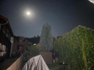 Fotografia z galérie ubytovania Apartment Krkonošská v destinácii Tanvald