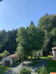 Zahrada ubytování Ferienwohnung Waldblick