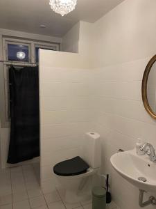 a bathroom with a black toilet and a sink at Stort smukt hus med havudsigt tæt på Møns Klint in Borre