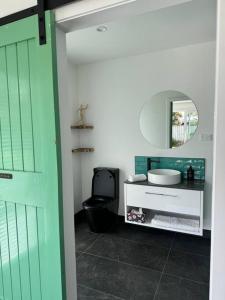 a bathroom with a toilet and a sink and a mirror at Main Street Retreat in Greytown