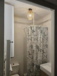 Koupelna v ubytování Superbe terrasse, rénové, WIFI