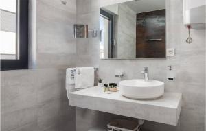 Kúpeľňa v ubytovaní Pet Friendly Apartment In Zidarici