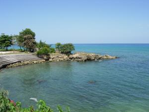 a view of a body of water with a beach at Appartement à 15min de belles plages in Sainte-Rose