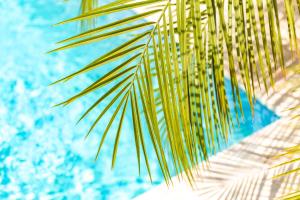 Bazén v ubytování Paradise Apartments - Curacao nebo v jeho okolí