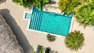 Bazén v ubytování Paradise Apartments - Curacao nebo v jeho okolí