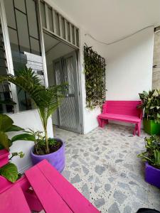 Zahrada ubytování Entre Jardines + 37 fotografií