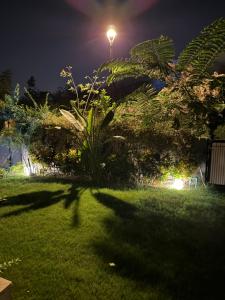 ein Straßenlicht in einem Garten in der Nacht in der Unterkunft Luxury Villa in Madinaty in Madinaty